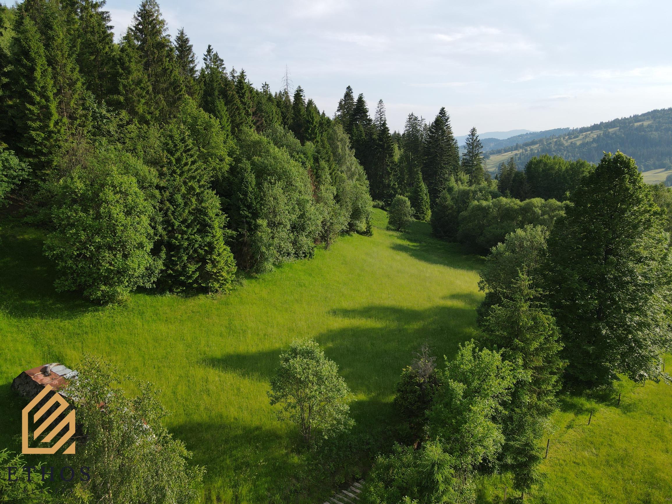 Na predaj rekreačný pozemok – Oščadnica, časť Rovne - fotografia 6