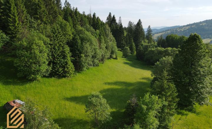 Na predaj rekreačný pozemok – Oščadnica, časť Rovne - fotografia 3